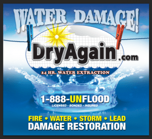 A picture of the front cover of a water damage book.