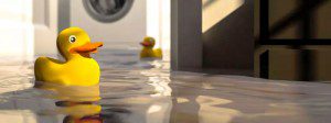 A yellow rubber duck is in the water.