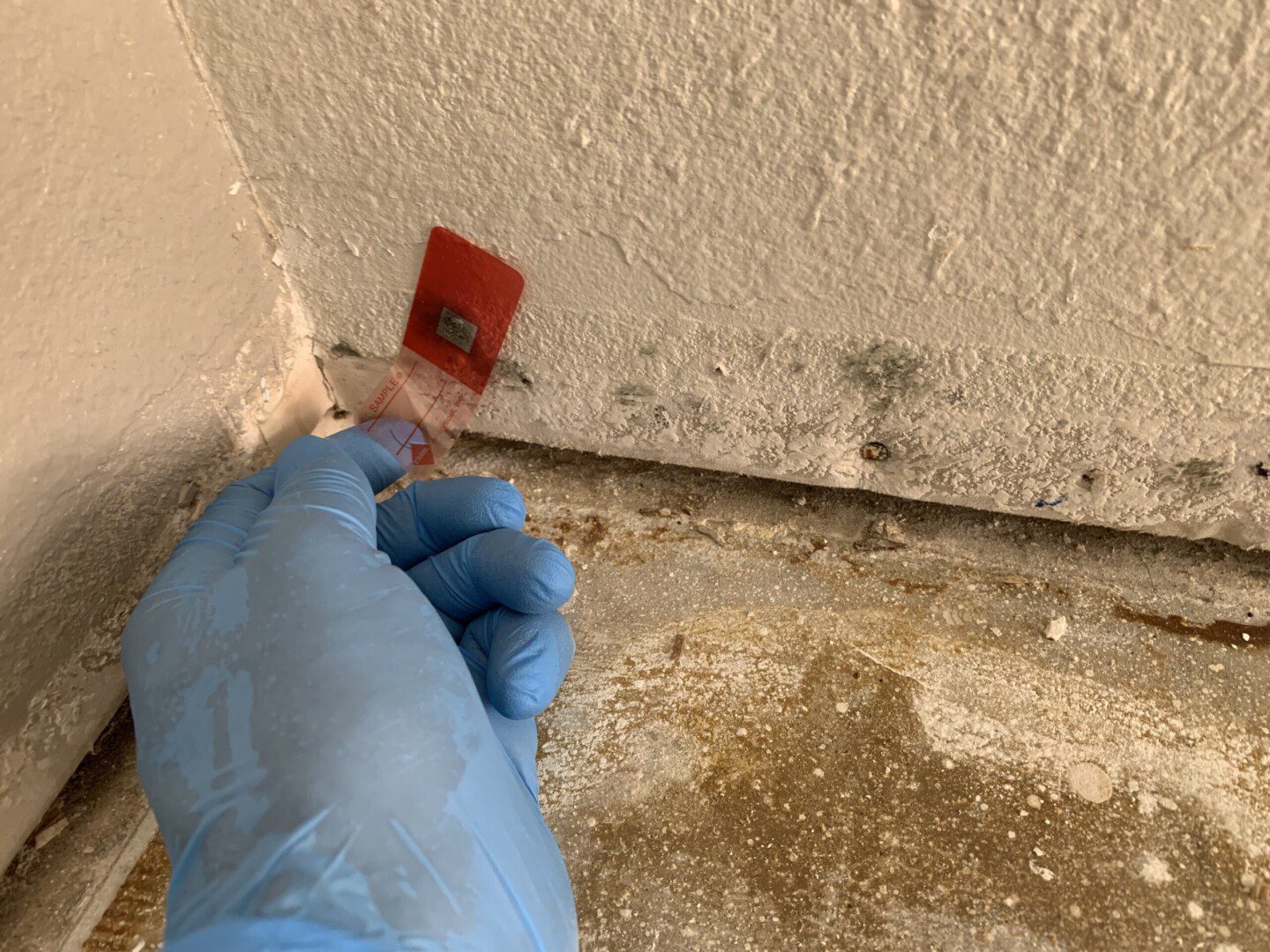 Mold Testing – DryAgain Water, Mold and Fire Restoration Services